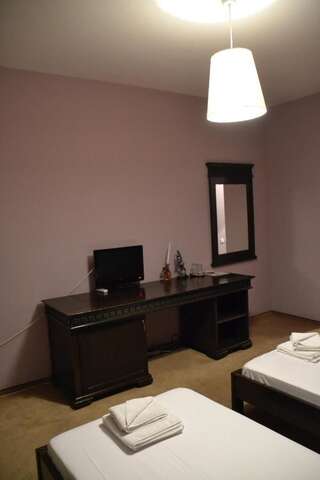 Отель Hotel Condor Дробета-Турну- Севери Двухместный номер с 1 кроватью или 2 отдельными кроватями-8